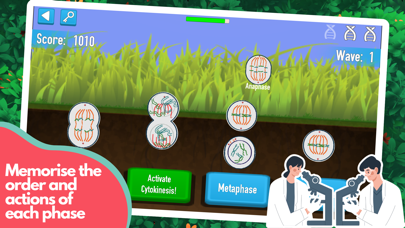 Split-A-Cell screenshot 2