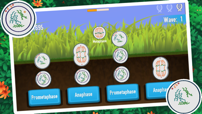 Split-A-Cell screenshot 1