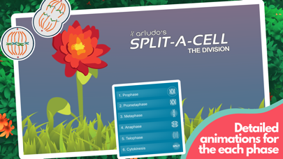 Split-A-Cell screenshot 3