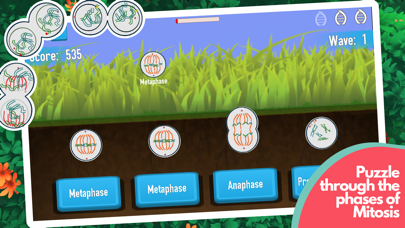 Split-A-Cell screenshot 4