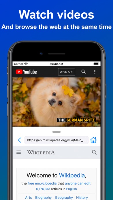 Split View Multitasking Screen screenshot 2