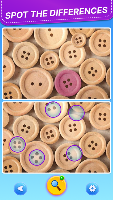 Spot 5 Differences: Find them! screenshot 5