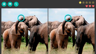 Spot the Differences Game! screenshot 2