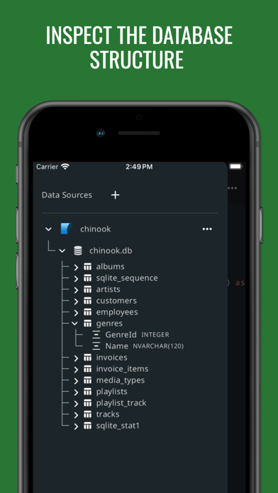 SQL Database Manager DB Client screenshot 1
