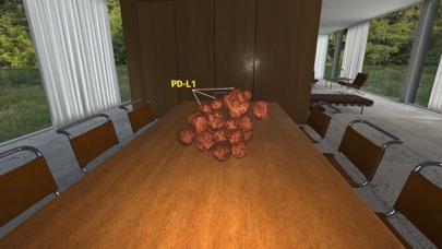 Squamous Cell Cancer-Head/Neck screenshot 3