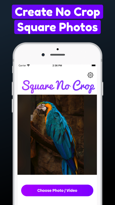 Square No Crop - Fit Full Size screenshot 4