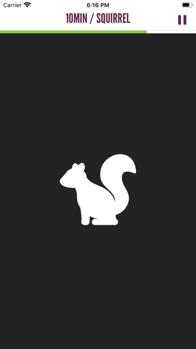 Squirrel Chaser screenshot 4