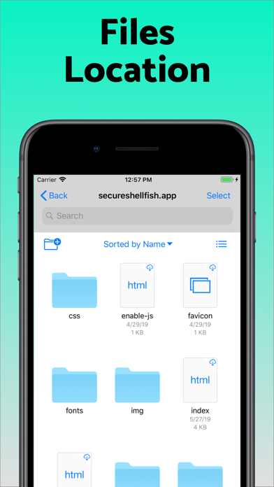 SSH Client - Secure ShellFish screenshot 7