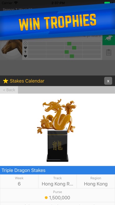 Stable Champions screenshot 4