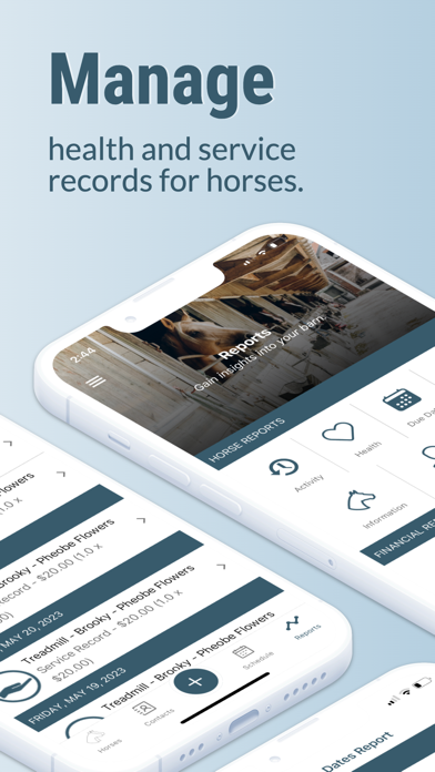 Stable Secretary screenshot 4