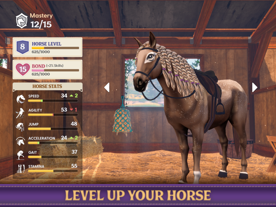 Star Equestrian - Horse Ranch screenshot 4