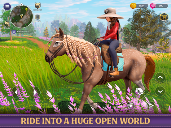 Star Equestrian - Horse Ranch screenshot 2
