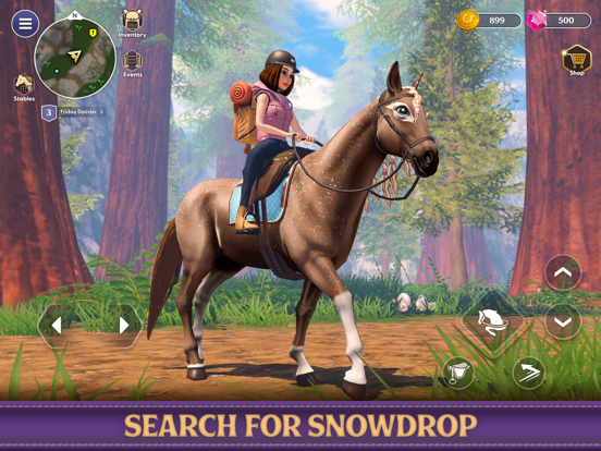 Star Equestrian - Horse Ranch screenshot 5
