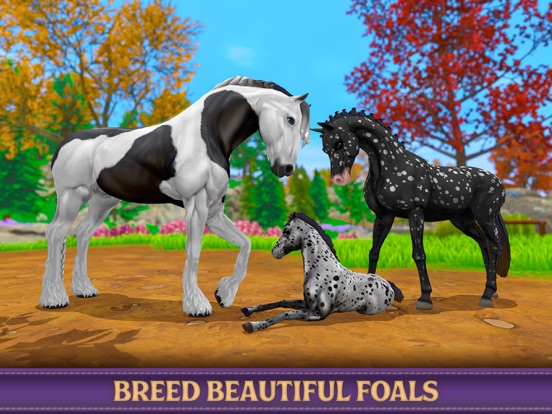 Star Equestrian - Horse Ranch screenshot 10