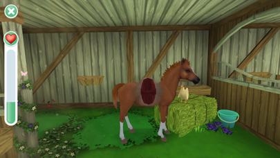 Star Stable: Horses screenshot 3
