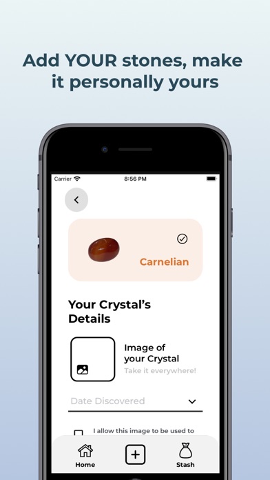 Stash - Crystals & Stones screenshot 3