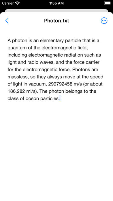 STE: Simple Text Editor screenshot 2
