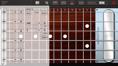 Steel Guitar PRO screenshot 2