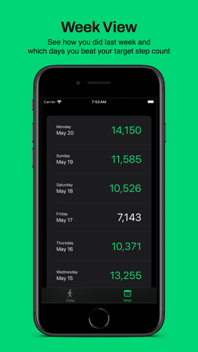 Steps  - Simple Pedometer screenshot 2