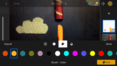 Stop Motion Studio Pro screenshot 2