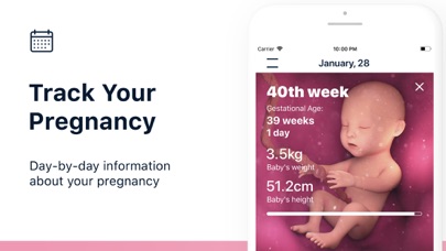 Stork — Pregnancy Tracker App screenshot 2