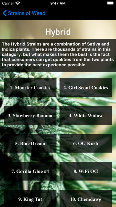 Strains of Weed screenshot 2