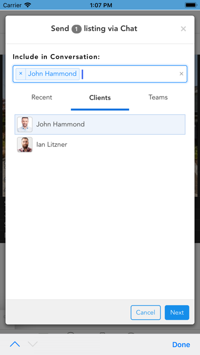 Stratus Collab screenshot 3
