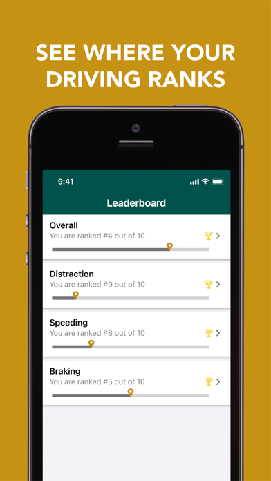 StreetSmart by Amica™ screenshot 2