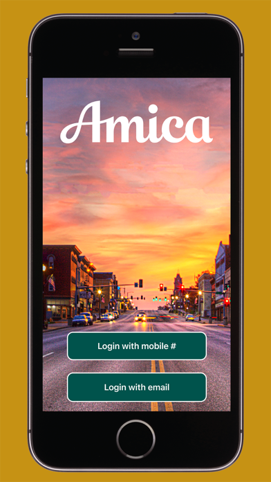 StreetSmart by Amica™ screenshot 1