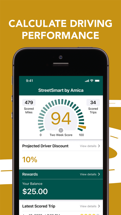 StreetSmart by Amica™ screenshot 7
