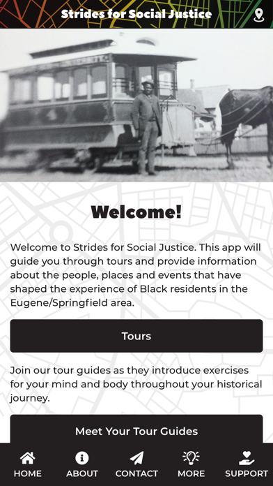Strides for Social Justice screenshot 4