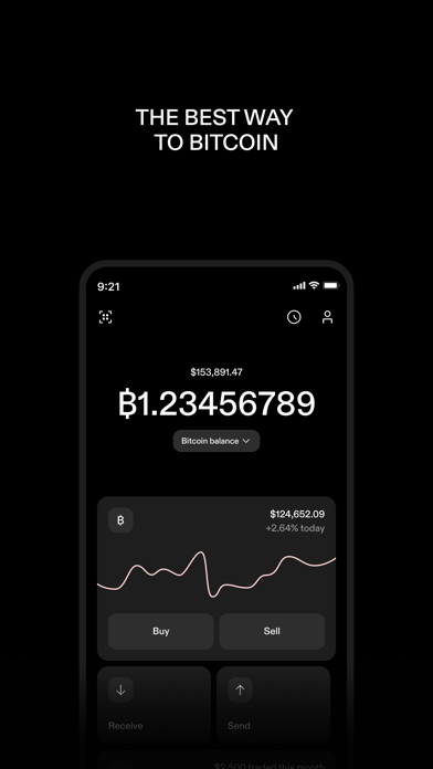 STRIKE: BUY & HOLD BITCOIN screenshot 8