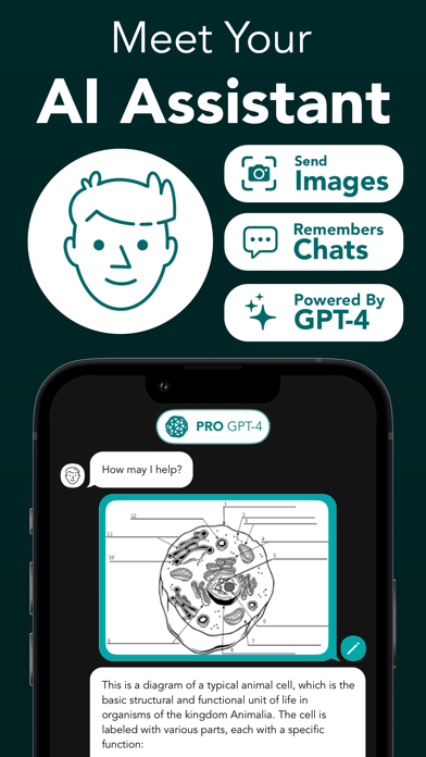 StudyAI - Web & Photo AI Tutor screenshot 4