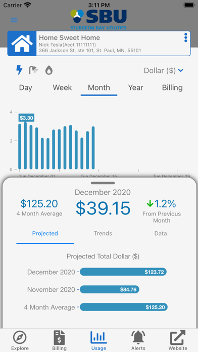 Sturgeon Bay Utilities screenshot 3