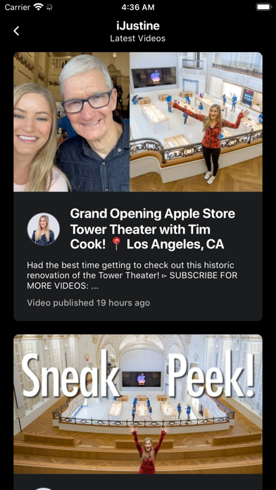 Subscribers: Live Counter screenshot 2