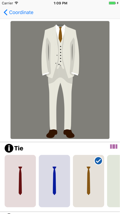 Suit Coordinator screenshot 3