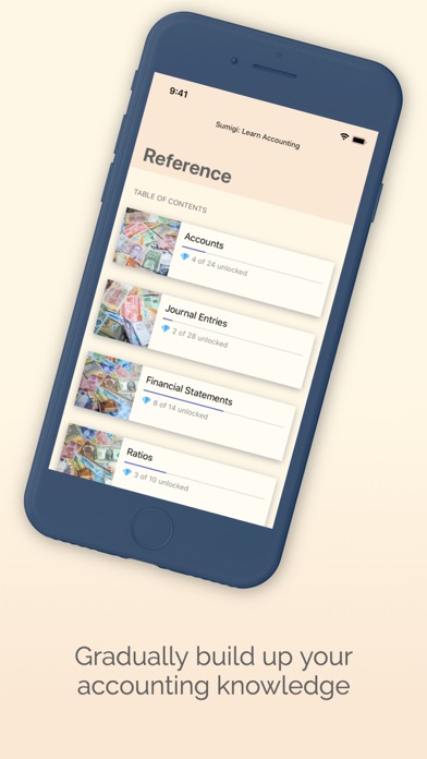 Sumigi: Learn Accounting screenshot 3