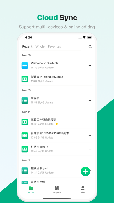 SunTable-Spreadsheet view&edit screenshot 2