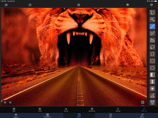 Superimpose X screenshot 1