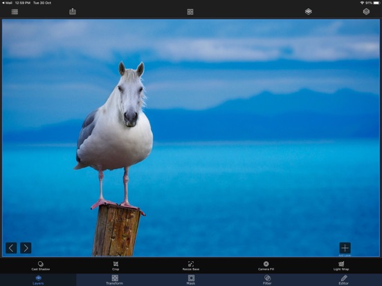Superimpose X screenshot 5