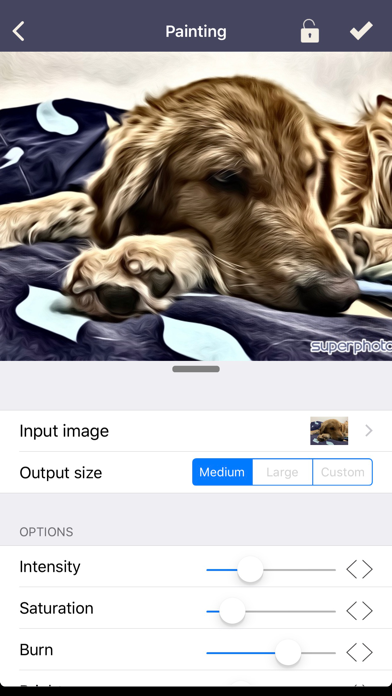SuperPhoto - Photo Filters screenshot 2