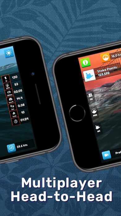 Swelldone - Virtual Row+Paddle screenshot 2