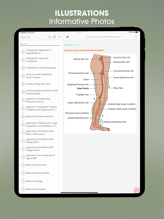Symptom to Diagnosis EB Guide screenshot 8