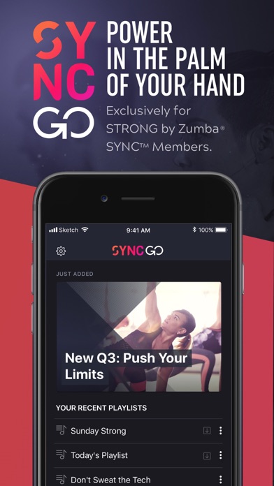 SYNC GO screenshot 4