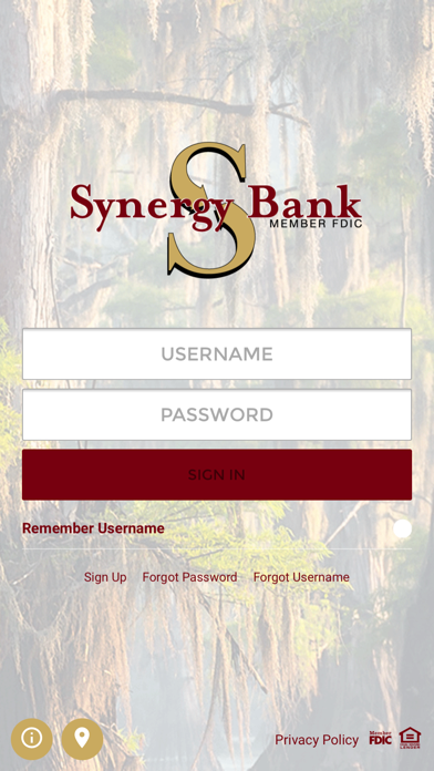 Synergy Bank screenshot 4