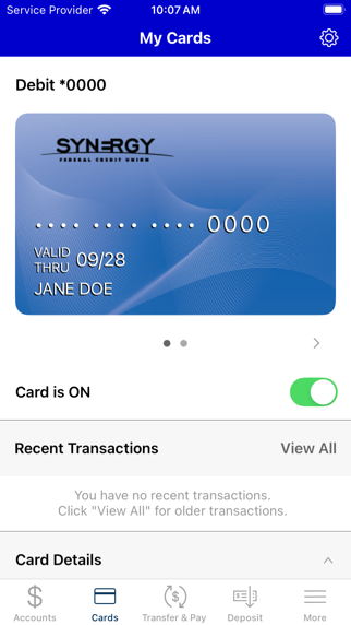 Synergy FCU screenshot 1