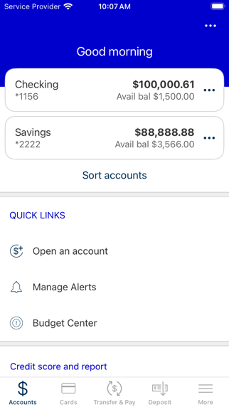 Synergy FCU screenshot 5