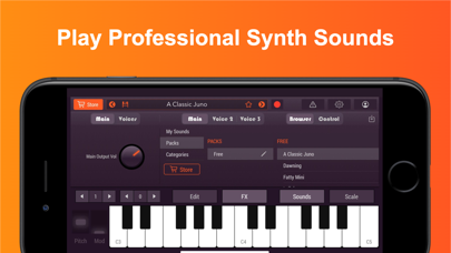 Synth Pro: Analog Synthesizer screenshot 3