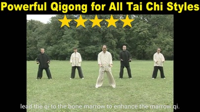 Tai Chi Ball Qigong screenshot 1