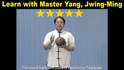 Tai Chi Ball Qigong screenshot 3